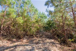 Sky Ranch Tract 4
