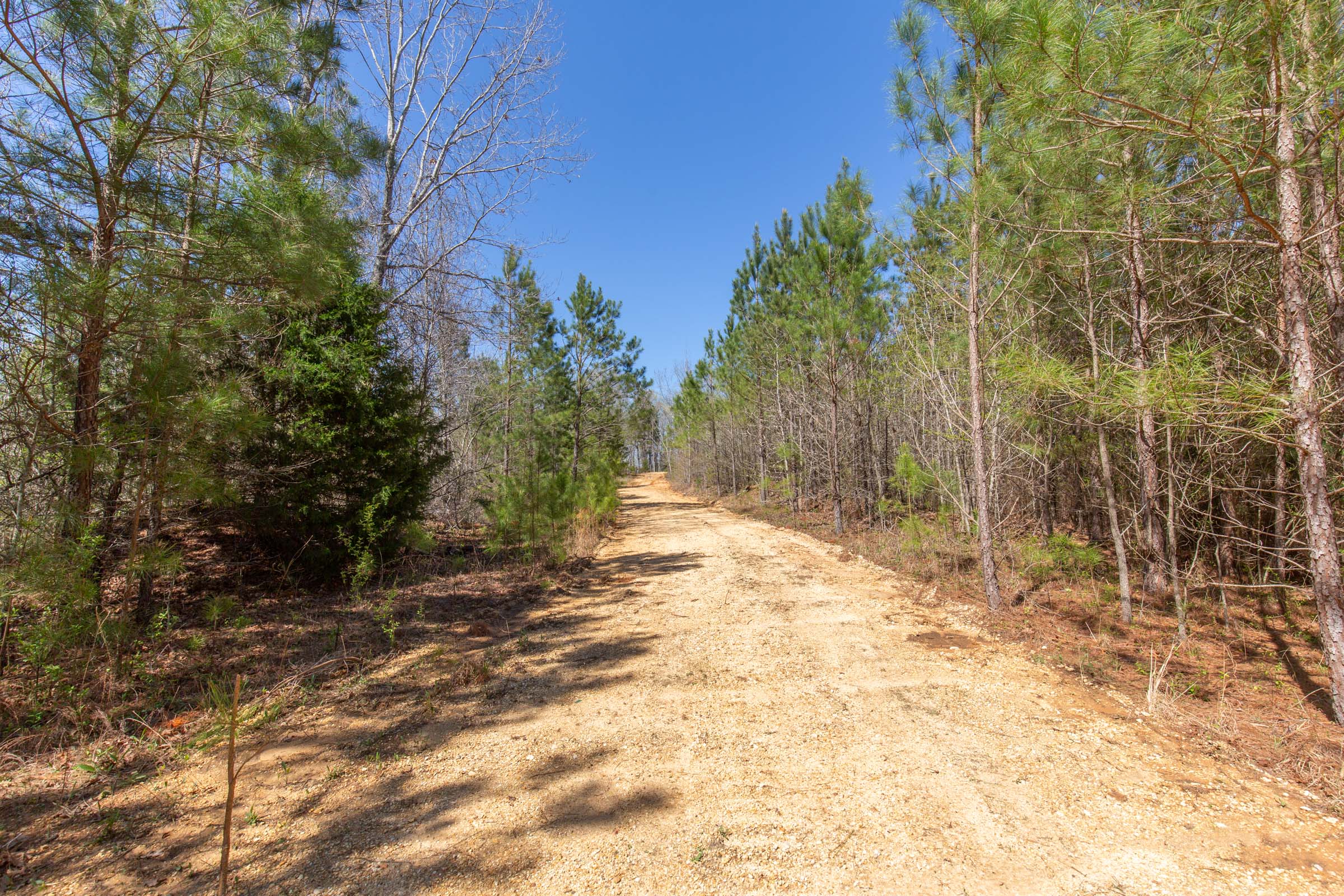 Tract 1 at Southern Hills in Tishomingo County, Mississippi