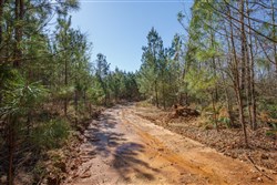 property photo for Southern Hills Tract 10, 5.02 acres for sale in Tishomingo County, Mississippi