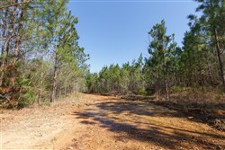 property photo for Southern Hills Tract 10, 5.02 acres for sale in Tishomingo County, Mississippi
