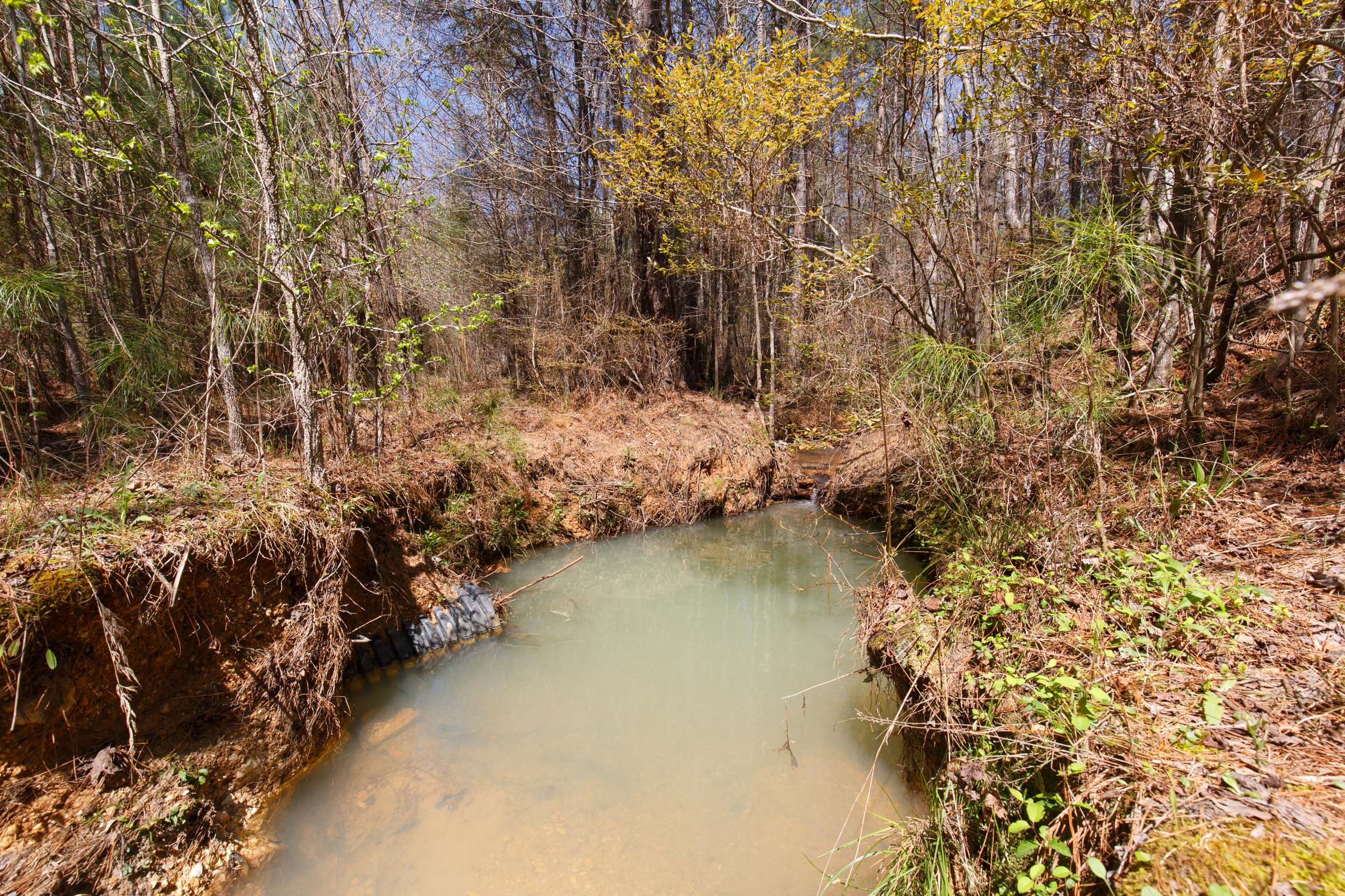Tract 13 at Southern Hills in Tishomingo County, Mississippi