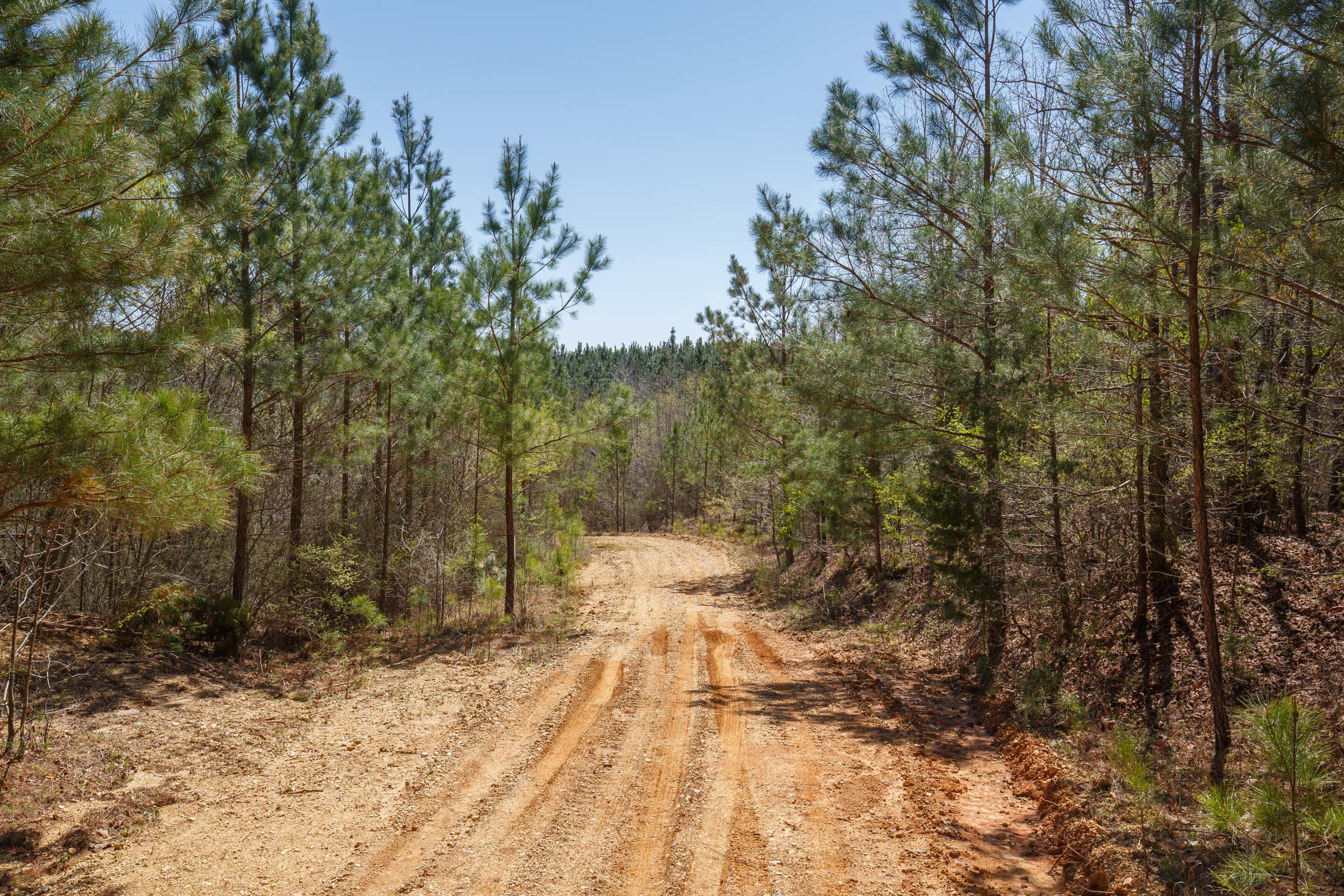Tract 15 at Southern Hills in Tishomingo County, Mississippi