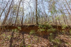 Southern Hills Tract 16