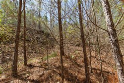 Southern Hills Tract 16