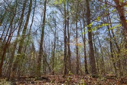 Southern Hills Tract 16