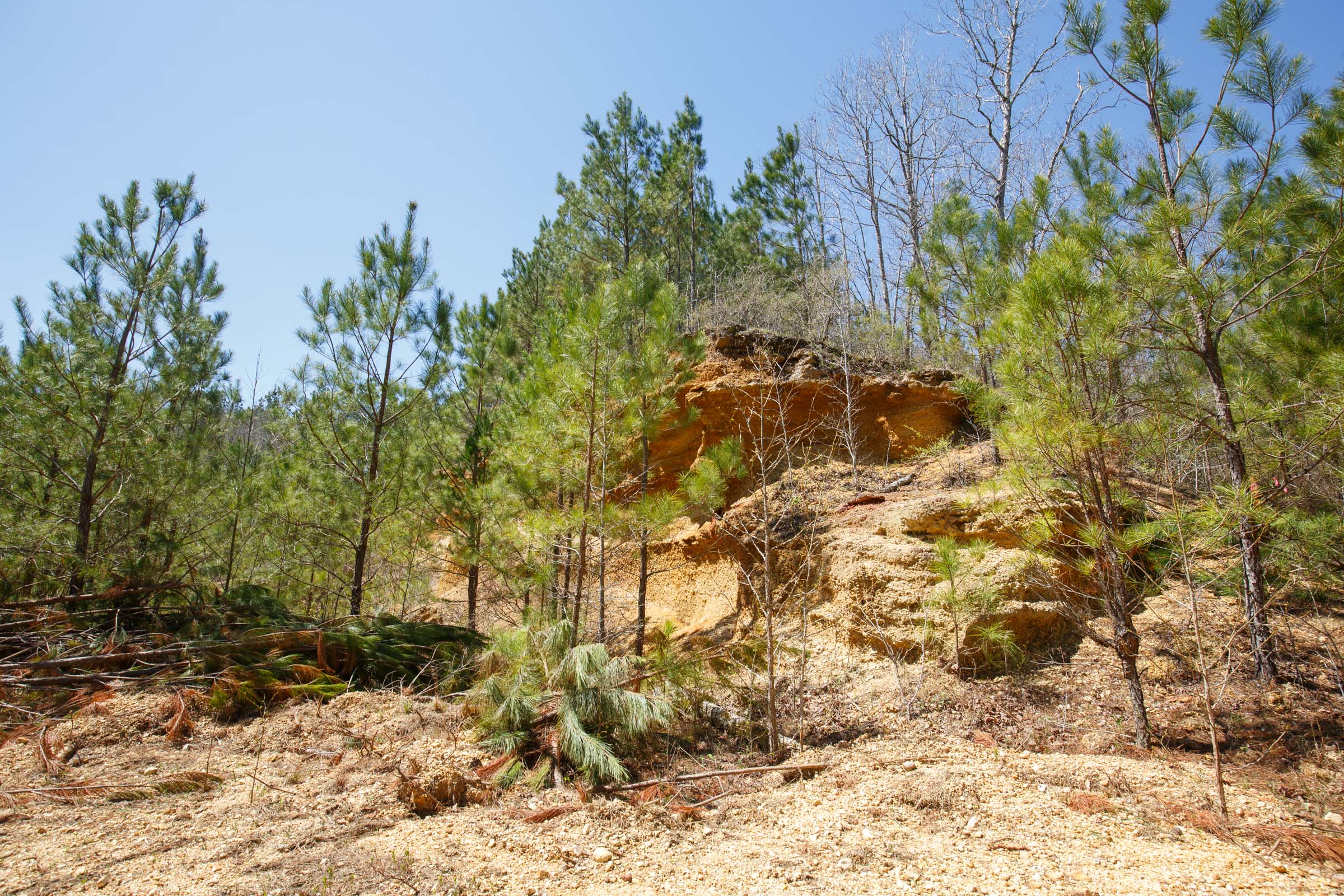 Tract 17 at Southern Hills in Tishomingo County, Mississippi