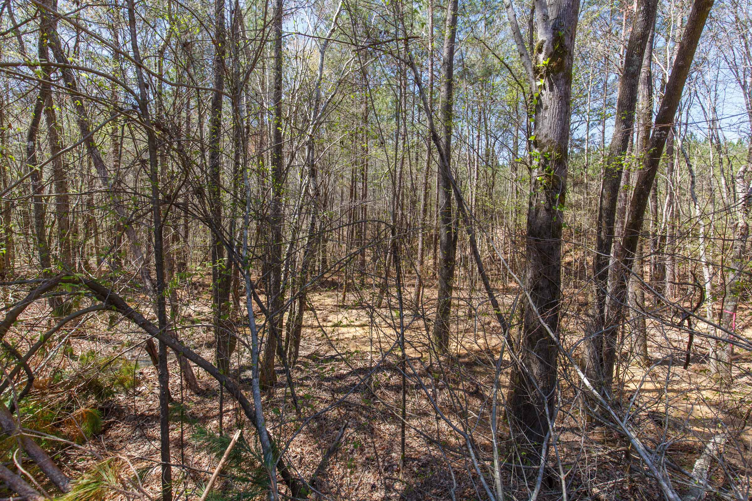 Tract 18 at Southern Hills in Tishomingo County, Mississippi