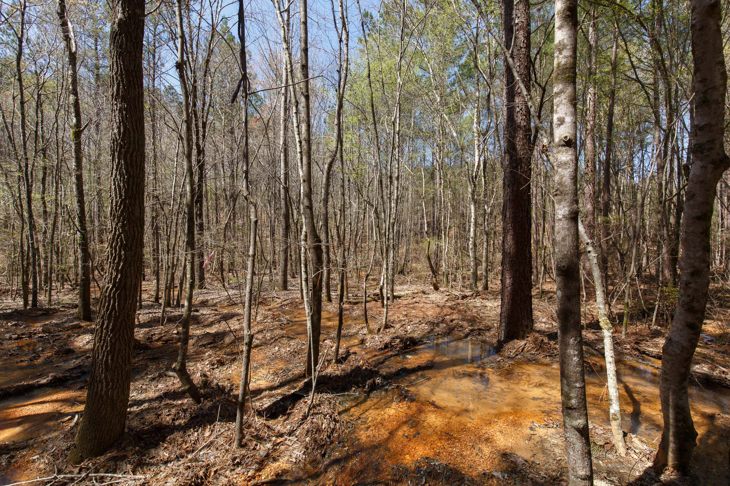Tract 19 at Southern Hills in Tishomingo County, Mississippi