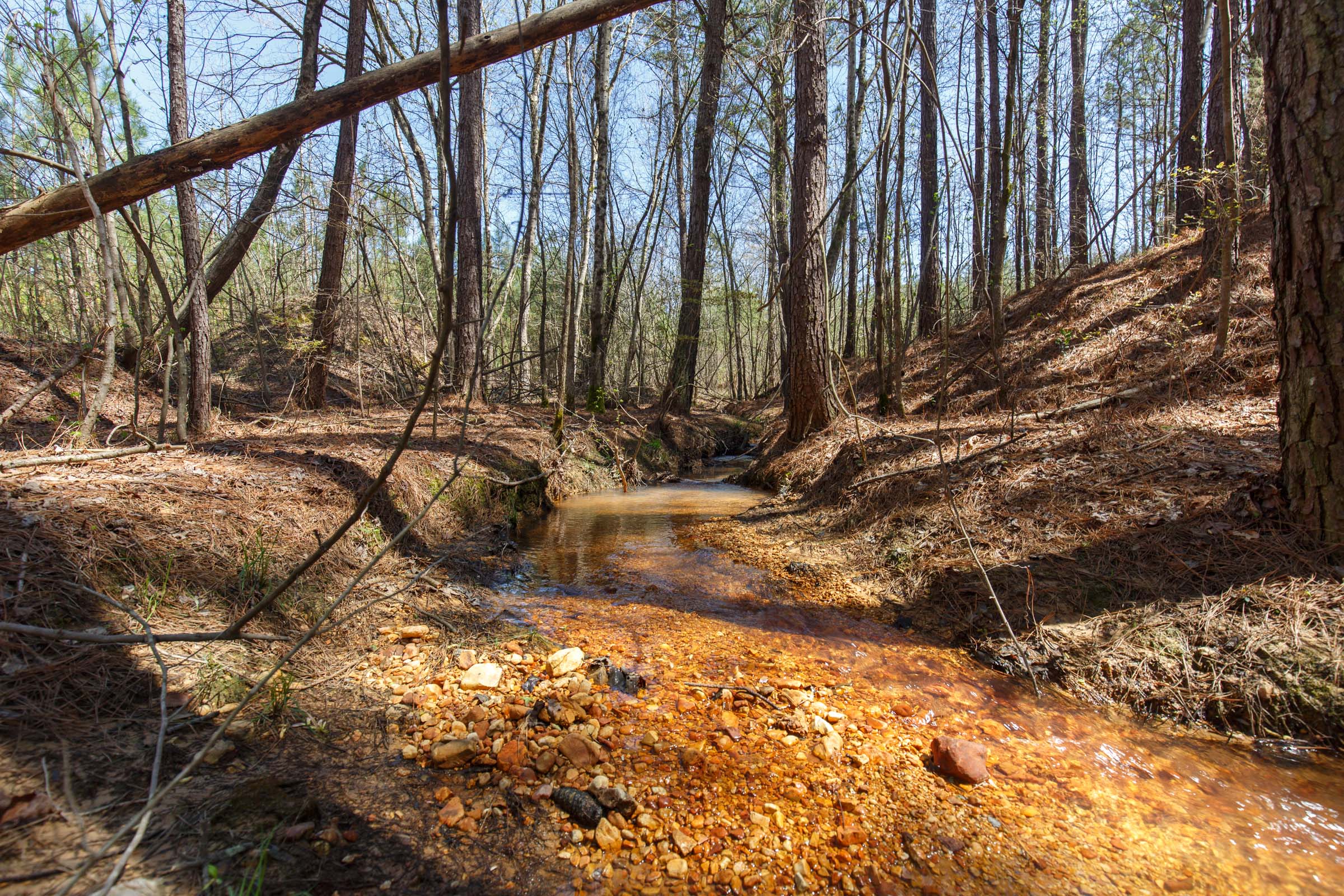 Tract 20 at Southern Hills in Tishomingo County, Mississippi