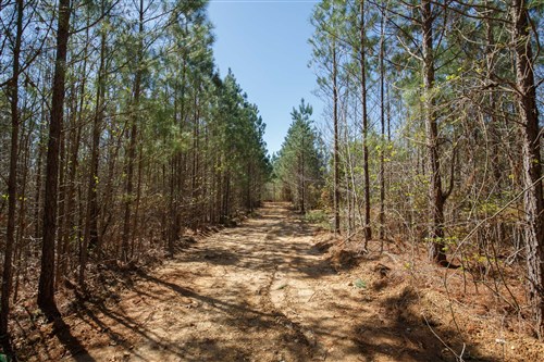 Southern Hills Tract 6