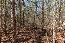 Southern Hills Tract 6