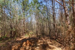 Southern Hills Tract 6
