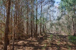 Southern Hills Tract 6