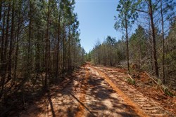 Southern Hills Tract 6