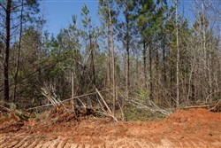 Southern Hills Tract 6