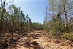 Southern Hills Tract 9