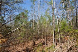 Southern Hills Tract 9