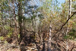 Southern Hills Tract 9