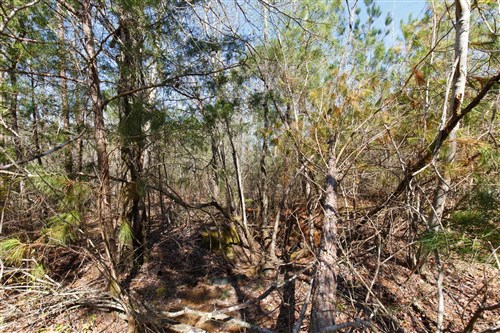 Southern Hills Tract 9