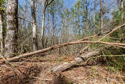 Southern Hills Tract 9