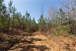 Southern Hills Tract 9