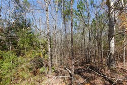 Southern Hills Tract 9