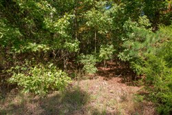 property photo for Wagon Wheel Ranch Tract 1, 5 acres for sale in Dent County, Missouri