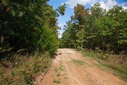property photo for Wagon Wheel Ranch Tract 10, 7.5 acres for sale in Dent County, Missouri