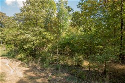 property photo for Wagon Wheel Ranch Tract 10, 7.5 acres for sale in Dent County, Missouri