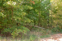 property photo for Wagon Wheel Ranch Tract 10, 7.5 acres for sale in Dent County, Missouri