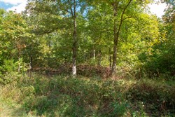 property photo for Wagon Wheel Ranch Tract 10, 7.5 acres for sale in Dent County, Missouri