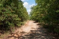 property photo for Wagon Wheel Ranch Tract 11, 8.04 acres for sale in Dent County, Missouri