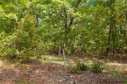 Wagon Wheel Ranch Tract 12