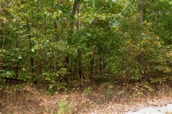 Wagon Wheel Ranch Tract 12