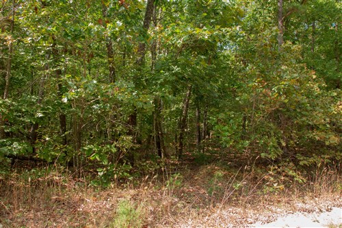 Wagon Wheel Ranch Tract 12