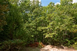 Wagon Wheel Ranch Tract 12