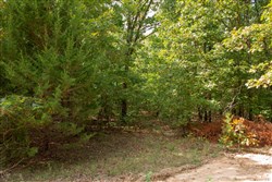 Wagon Wheel Ranch Tract 12