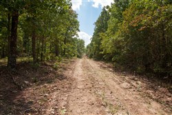 Wagon Wheel Ranch Tract 12