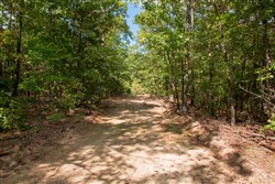 property photo for Wagon Wheel Ranch Tract 13, 6.57 acres for sale in Dent County, Missouri