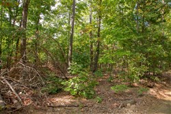 property photo for Wagon Wheel Ranch Tract 13, 6.57 acres for sale in Dent County, Missouri