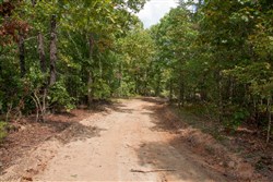 property photo for Wagon Wheel Ranch Tract 14, 6.42 acres for sale in Dent County, Missouri