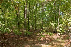 property photo for Wagon Wheel Ranch Tract 14, 6.42 acres for sale in Dent County, Missouri