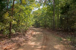 property photo for Wagon Wheel Ranch Tract 14, 6.42 acres for sale in Dent County, Missouri