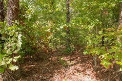 property photo for Wagon Wheel Ranch Tract 14, 6.42 acres for sale in Dent County, Missouri