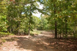 property photo for Wagon Wheel Ranch Tract 14, 6.42 acres for sale in Dent County, Missouri