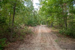 property photo for Wagon Wheel Ranch Tract 15, 8.62 acres for sale in Dent County, Missouri