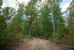 property photo for Wagon Wheel Ranch Tract 15, 8.62 acres for sale in Dent County, Missouri