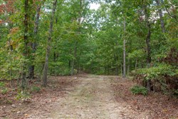 property photo for Wagon Wheel Ranch Tract 15, 8.62 acres for sale in Dent County, Missouri