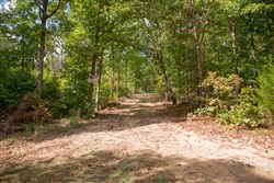 property photo for Wagon Wheel Ranch Tract 15, 8.62 acres for sale in Dent County, Missouri