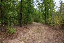 property photo for Wagon Wheel Ranch Tract 16, 9.99 acres for sale in Dent County, Missouri